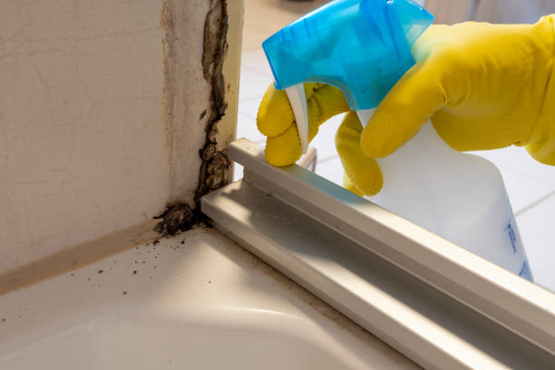 Best Real Estate Mold Inspection  in Malvern, IA