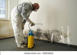 Best Residential Mold Inspection & Testing  in Malvern, IA